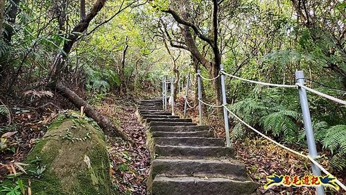 大崙頭尾山步道(碧溪橋-中社路) (31).jpg