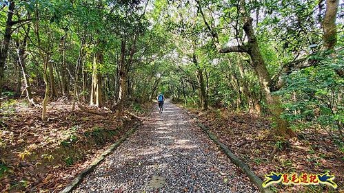 大崙頭尾山步道(碧溪橋-中社路) (28).jpg