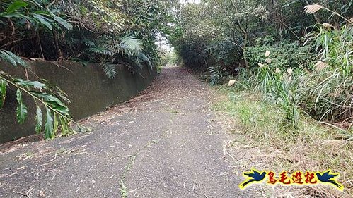 龜媽坑古道東線-大湖山-雪山尾稜-大湖越嶺古道(福隆-石城) (6).jpg