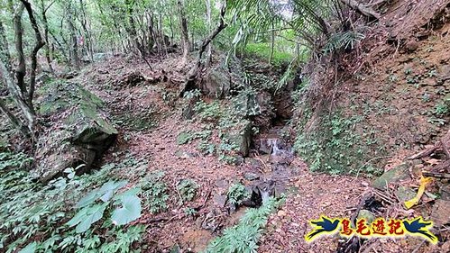 龜媽坑古道東線-大湖山-雪山尾稜-大湖越嶺古道(福隆-石城) (10).jpg