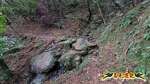 龜媽坑古道東線-大湖山-雪山尾稜-大湖越嶺古道(福隆-石城) (15).jpg