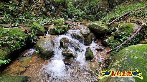 龜媽坑古道東線-大湖山-雪山尾稜-大湖越嶺古道(福隆-石城) (17).jpg