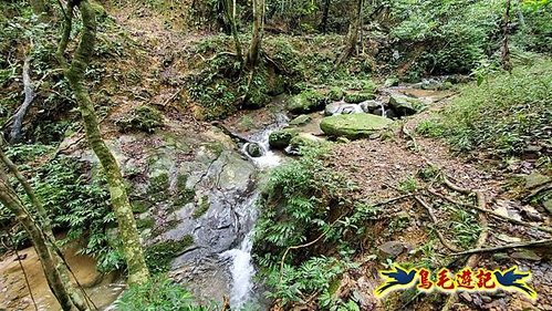 龜媽坑古道東線-大湖山-雪山尾稜-大湖越嶺古道(福隆-石城) (16).jpg