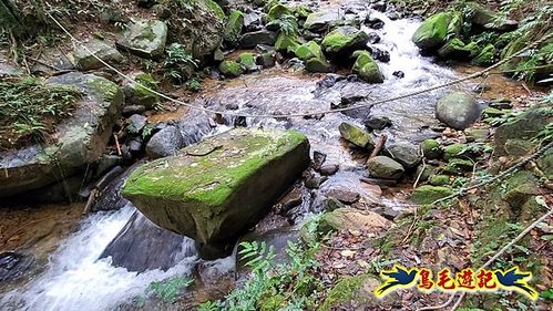 龜媽坑古道東線-大湖山-雪山尾稜-大湖越嶺古道(福隆-石城) (22).jpg