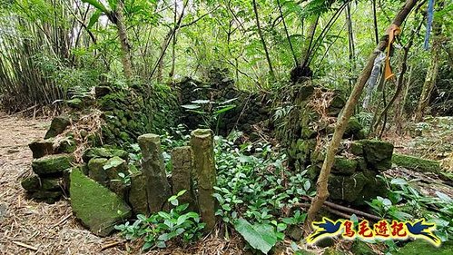 龜媽坑古道東線-大湖山-雪山尾稜-大湖越嶺古道(福隆-石城) (30).jpg