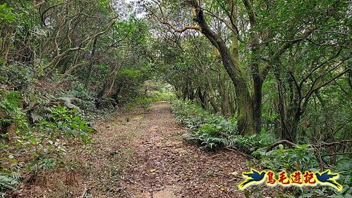 龜媽坑古道東線-大湖山-雪山尾稜-大湖越嶺古道(福隆-石城) (33).jpg