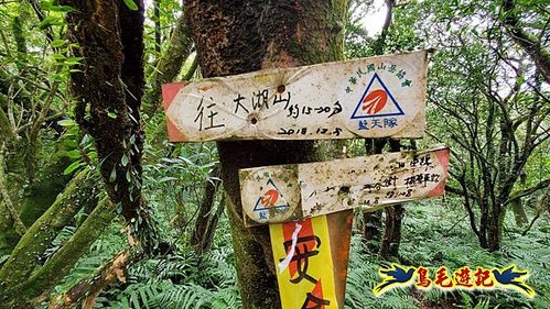 龜媽坑古道東線-大湖山-雪山尾稜-大湖越嶺古道(福隆-石城) (36).jpg