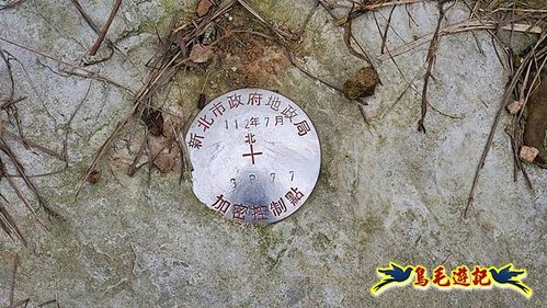 龜媽坑古道東線-大湖山-雪山尾稜-大湖越嶺古道(福隆-石城) (34).jpg