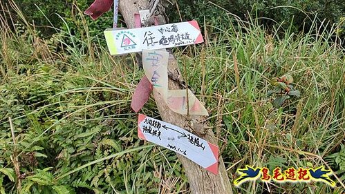 龜媽坑古道東線-大湖山-雪山尾稜-大湖越嶺古道(福隆-石城) (41).jpg