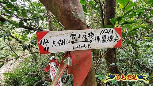 龜媽坑古道東線-大湖山-雪山尾稜-大湖越嶺古道(福隆-石城) (48).jpg