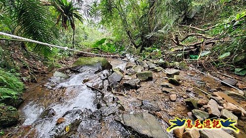 龜媽坑古道東線-大湖山-雪山尾稜-大湖越嶺古道(福隆-石城) (57).jpg