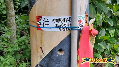 龜媽坑古道東線-大湖山-雪山尾稜-大湖越嶺古道(福隆-石城) (59).jpg