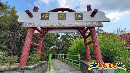 2024陽明山花季の湖山秘境環狀步道 (24).jpg