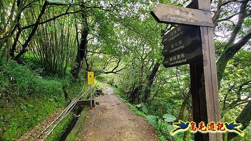 溪內古道-菁礐山(竹篙山西南峰)-木炭窯遺址-竹篙坪-番婆草原-擎天崗 (1).jpg