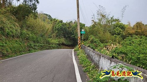 新竹倒別牛山-板根森林-中坑山-飛鳳山步道P形 (3).jpg