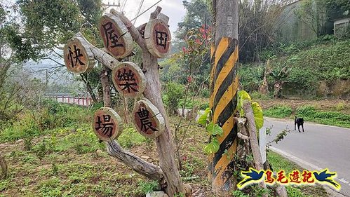 新竹倒別牛山-板根森林-中坑山-飛鳳山步道P形 (4).jpg