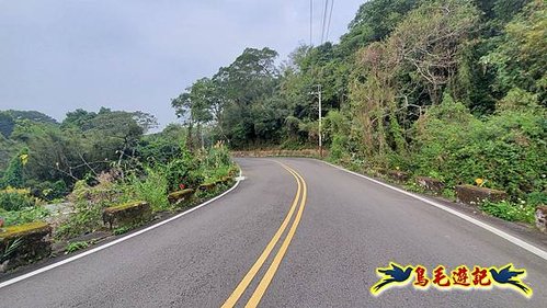 新竹倒別牛山-板根森林-中坑山-飛鳳山步道P形 (1).jpg