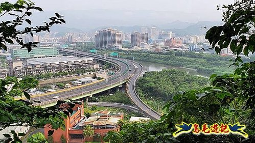 小南港山步道桐花飄 (3).jpg