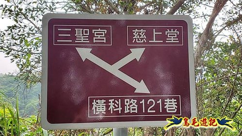 小南港山步道桐花飄 (12).jpg