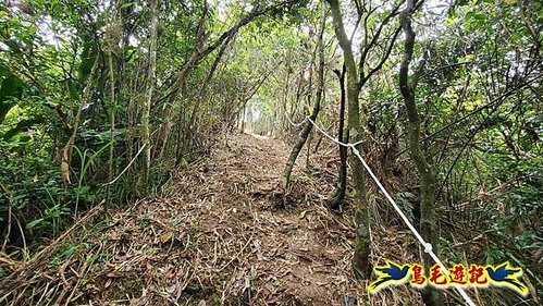 雙溪貢寮縱走(西九份坑山、九份坑山、嶺頭觀日步道、雞母嶺街楊廷理古道、丹裡山、外文秀坑山) (14).jpg