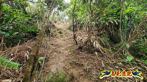 雙溪貢寮縱走(西九份坑山、九份坑山、嶺頭觀日步道、雞母嶺街楊廷理古道、丹裡山、外文秀坑山) (15).jpg