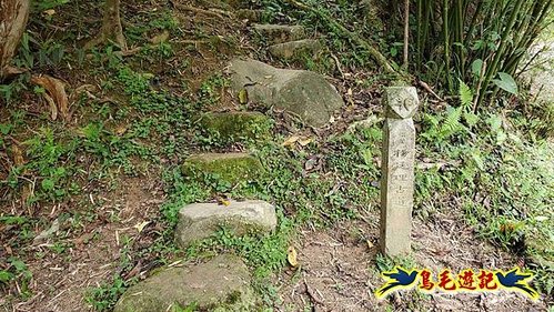 雙溪貢寮縱走(西九份坑山、九份坑山、嶺頭觀日步道、雞母嶺街楊廷理古道、丹裡山、外文秀坑山) (41).jpg