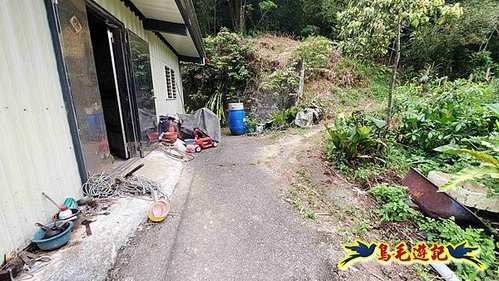 雙溪貢寮縱走(西九份坑山、九份坑山、嶺頭觀日步道、雞母嶺街楊廷理古道、丹裡山、外文秀坑山) (45).jpg