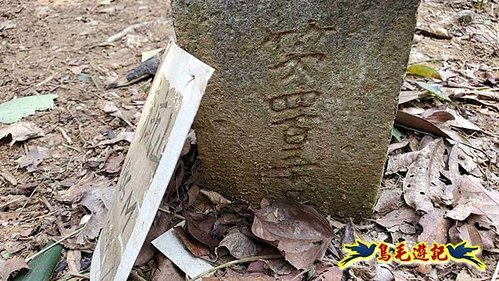 雙溪貢寮縱走(西九份坑山、九份坑山、嶺頭觀日步道、雞母嶺街楊廷理古道、丹裡山、外文秀坑山) (61).jpg