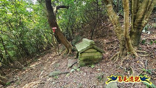 雙溪貢寮縱走(西九份坑山、九份坑山、嶺頭觀日步道、雞母嶺街楊廷理古道、丹裡山、外文秀坑山) (63).jpg