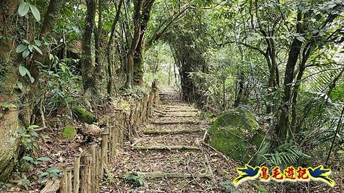 雙溪貢寮縱走(西九份坑山、九份坑山、嶺頭觀日步道、雞母嶺街楊廷理古道、丹裡山、外文秀坑山) (67).jpg