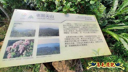 汐止翠湖步道老鷲尖南峰老鷲尖O形 (31).jpg