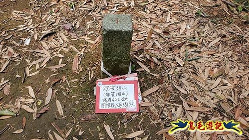 南港茶展中心-畚箕湖山-深按保甲路古道-排寮尖 (10).jpg