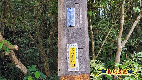 泰平國小-溪尾寮山-東柑腳山（後寮山）-風口鞍部(埡口)下崩山坑古道 (3).jpg