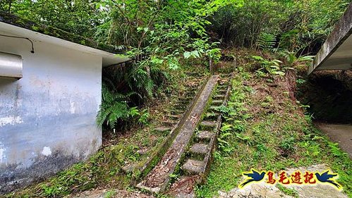 泰平國小-溪尾寮山-東柑腳山（後寮山）-風口鞍部(埡口)下崩山坑古道 (8).jpg