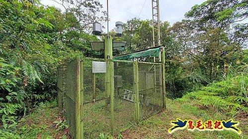 泰平國小-溪尾寮山-東柑腳山（後寮山）-風口鞍部(埡口)下崩山坑古道 (9).jpg