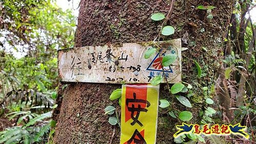 泰平國小-溪尾寮山-東柑腳山（後寮山）-風口鞍部(埡口)下崩山坑古道 (13).jpg