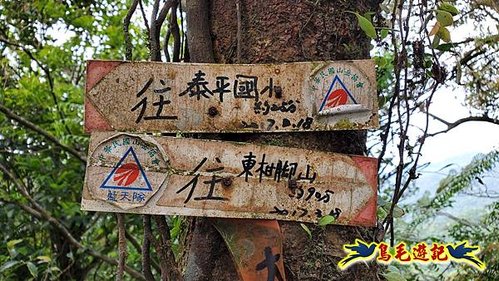 泰平國小-溪尾寮山-東柑腳山（後寮山）-風口鞍部(埡口)下崩山坑古道 (18).jpg