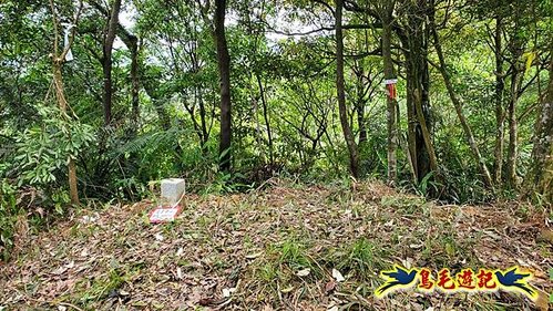 泰平國小-溪尾寮山-東柑腳山（後寮山）-風口鞍部(埡口)下崩山坑古道 (19).jpg