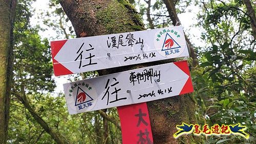 泰平國小-溪尾寮山-東柑腳山（後寮山）-風口鞍部(埡口)下崩山坑古道 (21).jpg