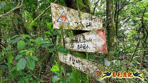 泰平國小-溪尾寮山-東柑腳山（後寮山）-風口鞍部(埡口)下崩山坑古道 (26).jpg