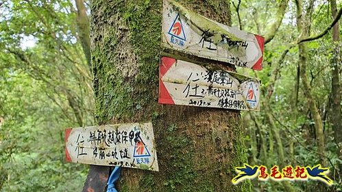 泰平國小-溪尾寮山-東柑腳山（後寮山）-風口鞍部(埡口)下崩山坑古道 (27).jpg