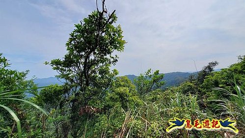 泰平國小-溪尾寮山-東柑腳山（後寮山）-風口鞍部(埡口)下崩山坑古道 (32).jpg