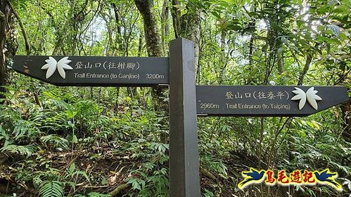 泰平國小-溪尾寮山-東柑腳山（後寮山）-風口鞍部(埡口)下崩山坑古道 (34).jpg