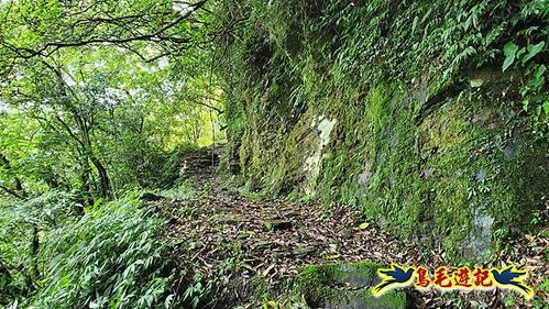 泰平國小-溪尾寮山-東柑腳山（後寮山）-風口鞍部(埡口)下崩山坑古道 (39).jpg