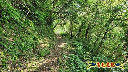 泰平國小-溪尾寮山-東柑腳山（後寮山）-風口鞍部(埡口)下崩山坑古道 (41).jpg