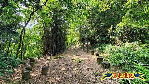 泰平國小-溪尾寮山-東柑腳山（後寮山）-風口鞍部(埡口)下崩山坑古道 (44).jpg