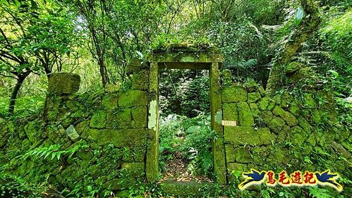 泰平國小-溪尾寮山-東柑腳山（後寮山）-風口鞍部(埡口)下崩山坑古道 (45).jpg