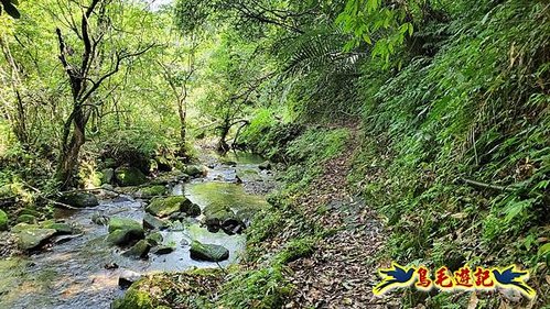 泰平國小-溪尾寮山-東柑腳山（後寮山）-風口鞍部(埡口)下崩山坑古道 (48).jpg