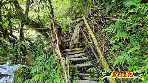 泰平國小-溪尾寮山-東柑腳山（後寮山）-風口鞍部(埡口)下崩山坑古道 (51).jpg