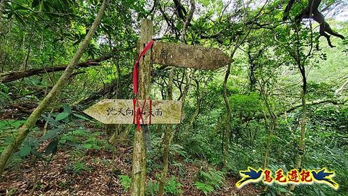 興福寮步道-糞箕湖古道右左線-新向天池山西南稜-向天池山-向天池P形 (13).jpg